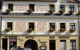 Hotel Panský dům